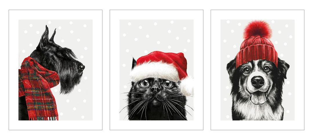 Christmas Animlas Box Set
