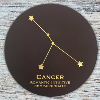 Star Sign Leather Coasters