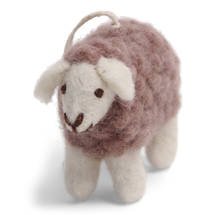 Mini Sheep