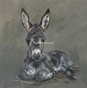 Gill Davies - Greeting Cards
