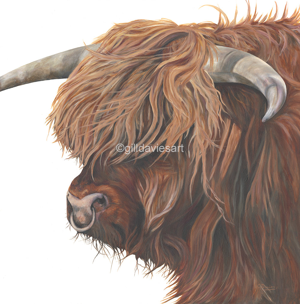 Gill Davies - Greeting Cards