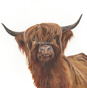 Gill Davies - Greeting Cards