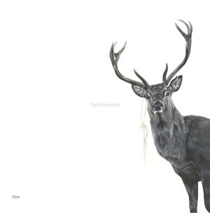 Gill Davies - Greeting Cards