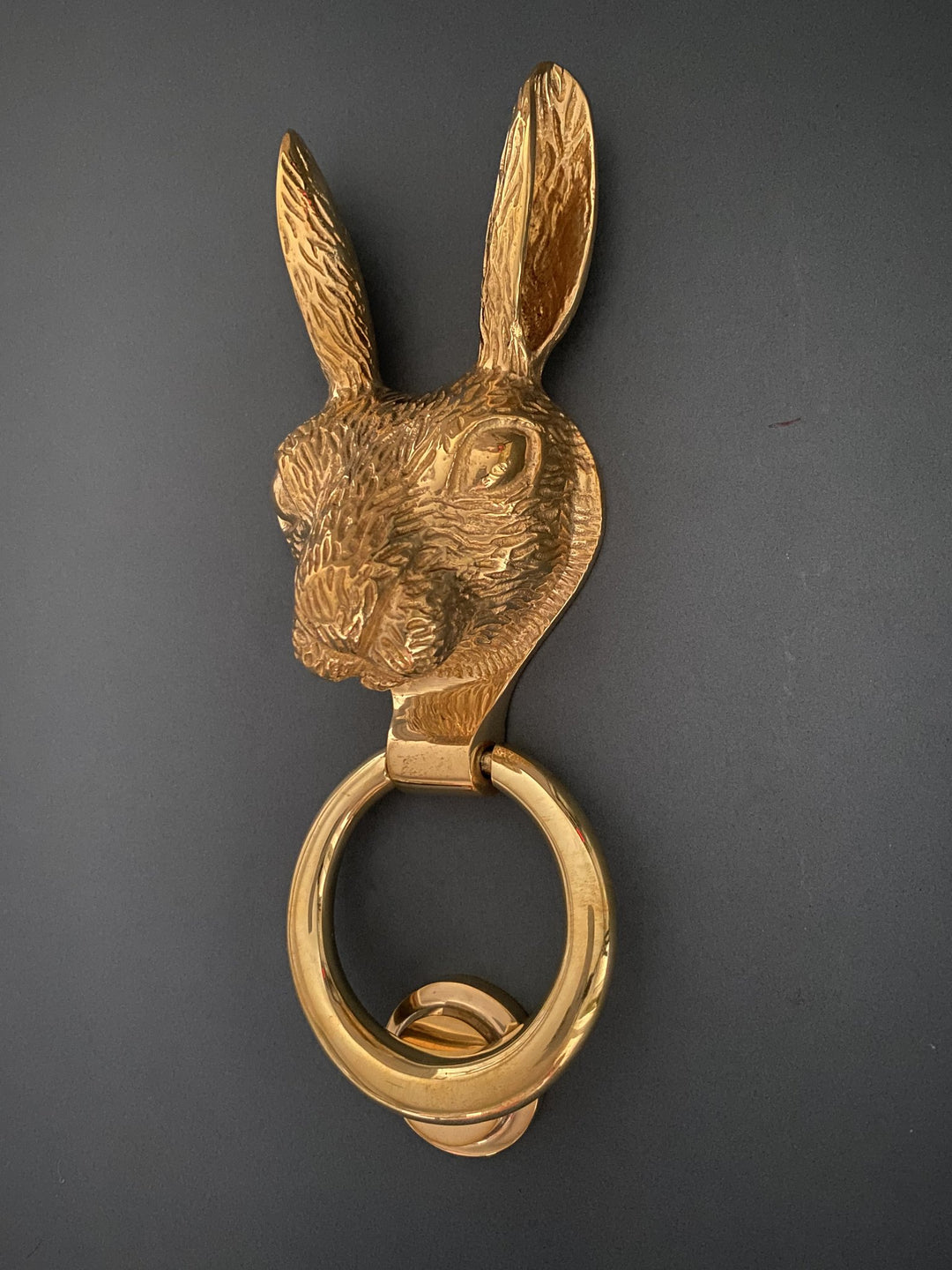 Hare Door Knocker