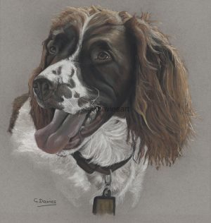 Gill Davies - Greeting Cards