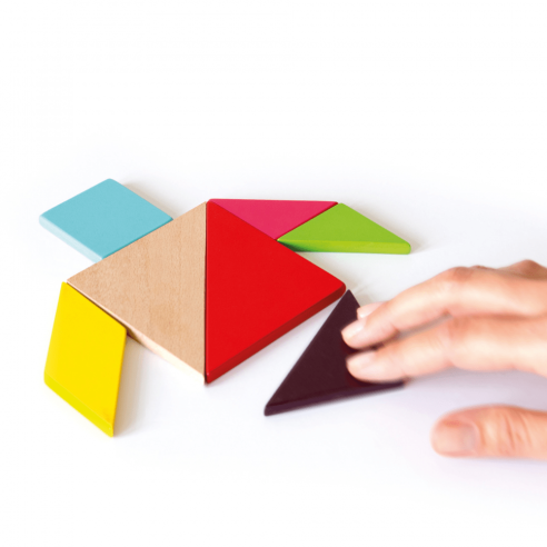 Tangram Challenge  - Game Of Skill