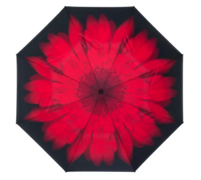Inside Out Umbrella - Red Daisy Stick