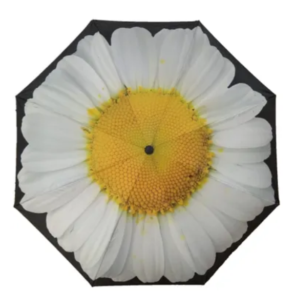 Inside Out Umbrella - White Daisy