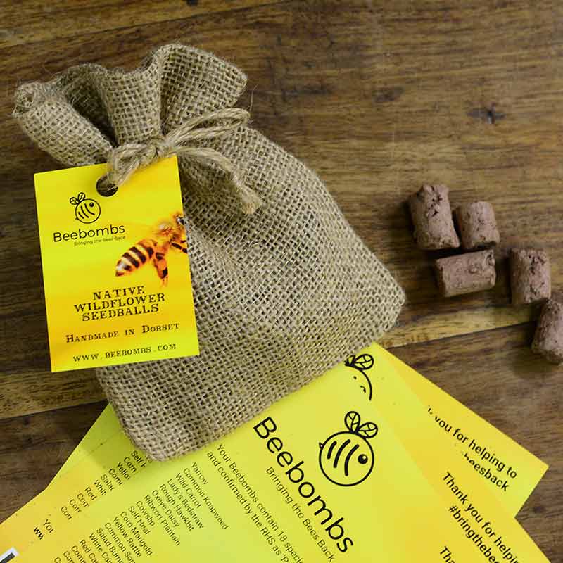 Beebombs - Wildflower Seedballs