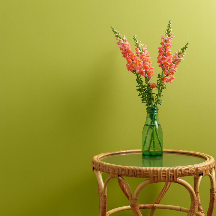 Limelight Trim Paint
