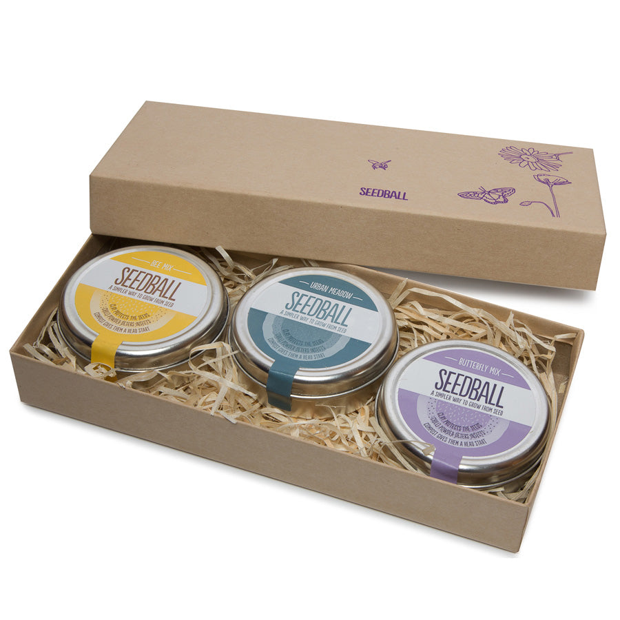 Seedball Gift Box