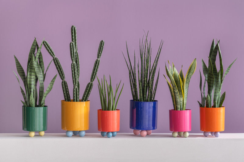 Plant Pot Double Funky - Large - Mango