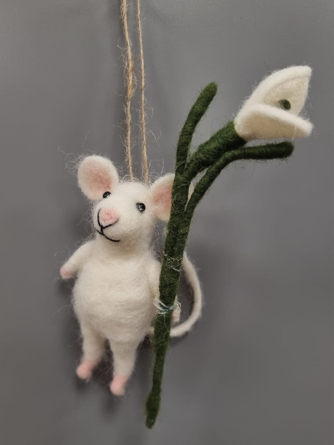 Snowdrop Mouse