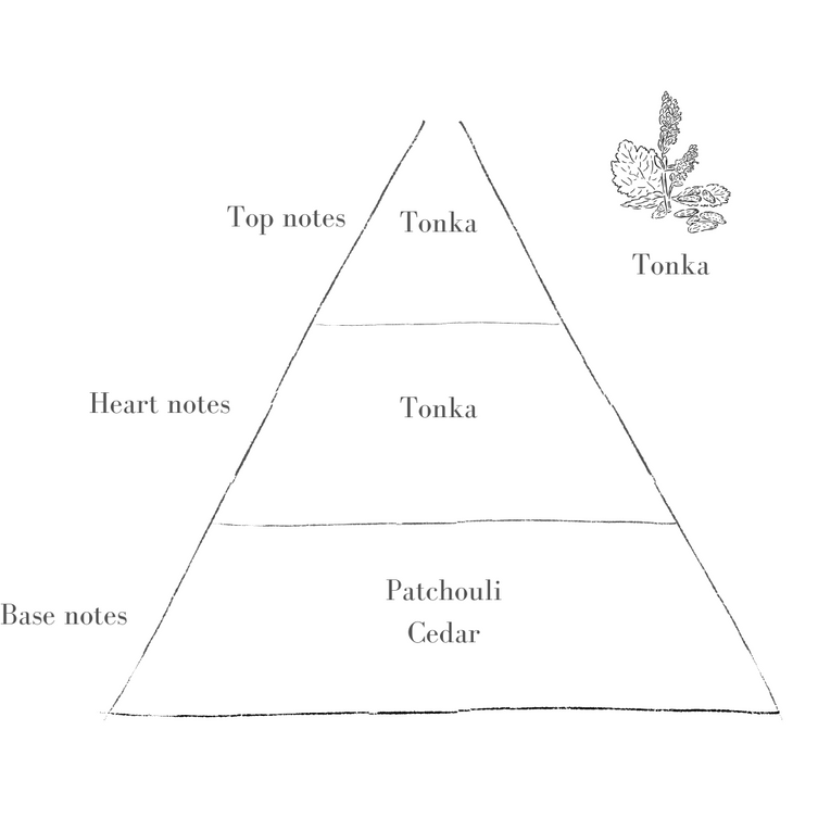 Potts Candle Refill - Petite