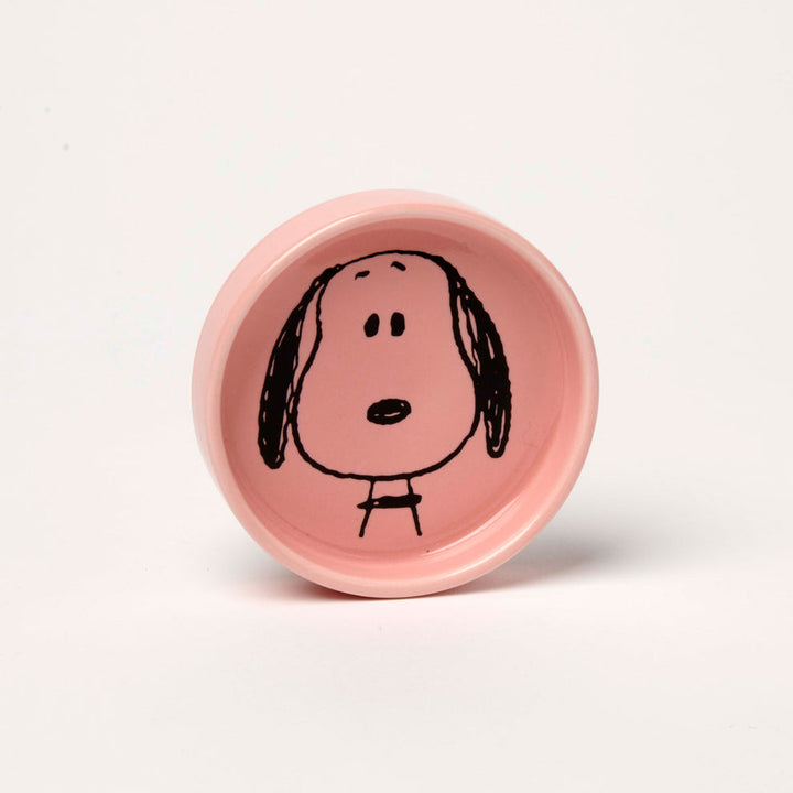 Snoopy Pin Dish -Visage