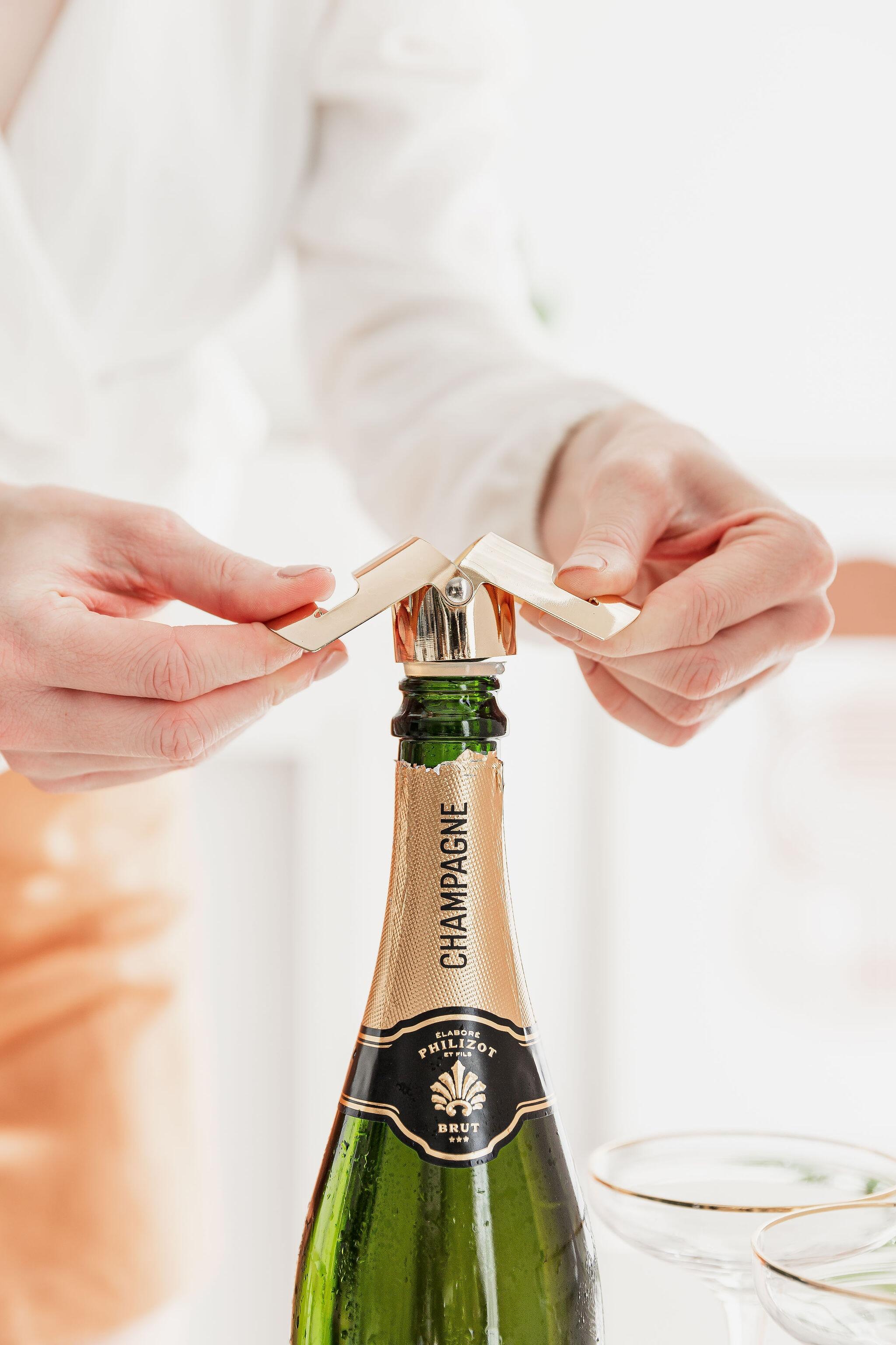Champagne Bottle Stopper - Silver