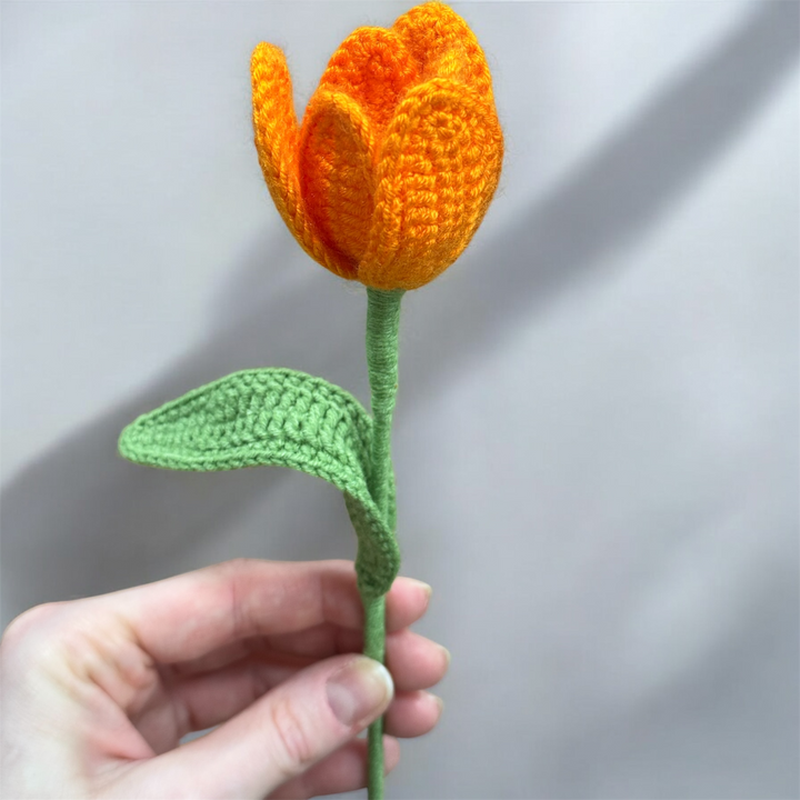 Single Open Tulip Flower Stem