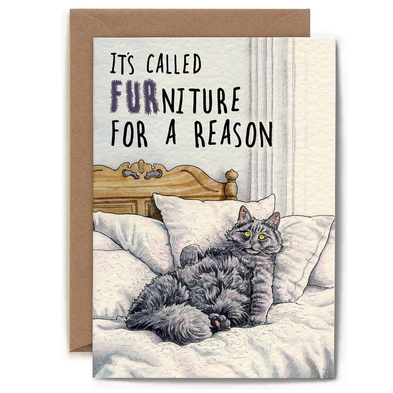 Furniture Cat