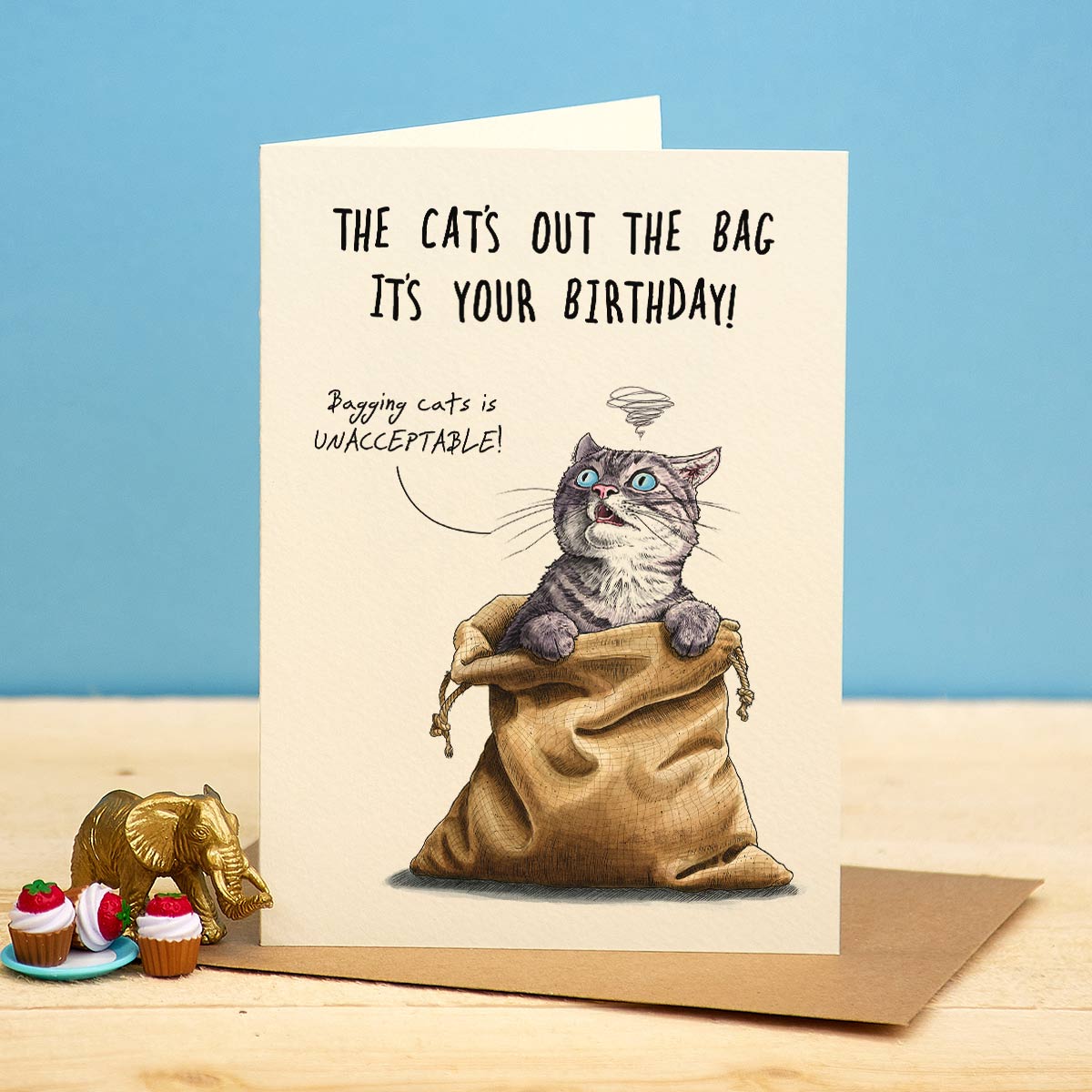 Cat Bag
