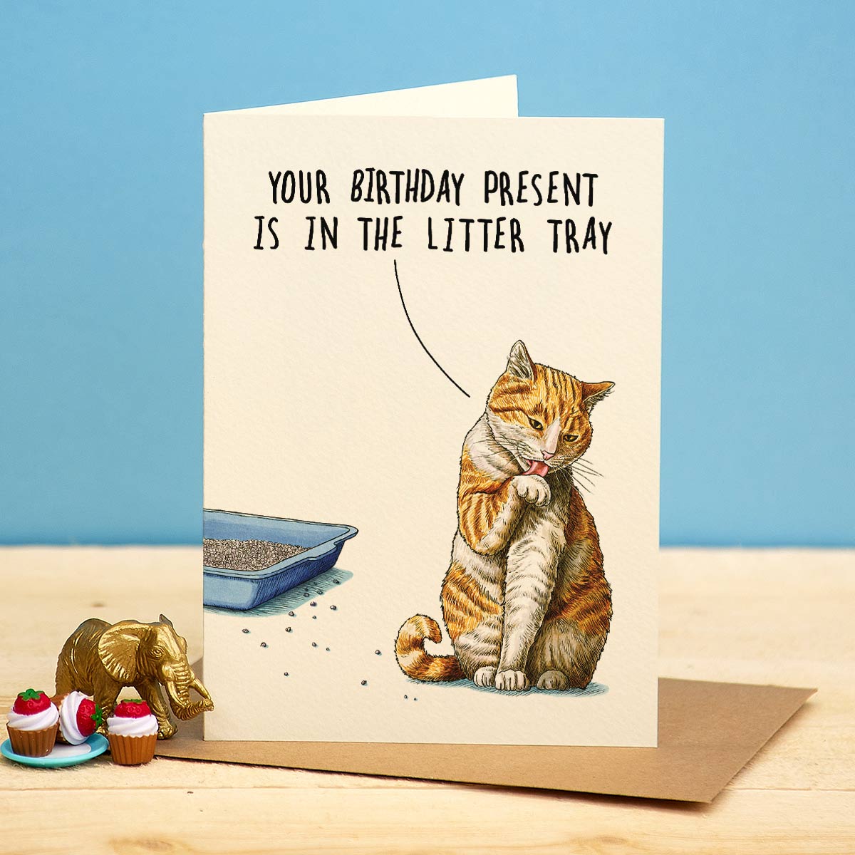 Litter Tray Present