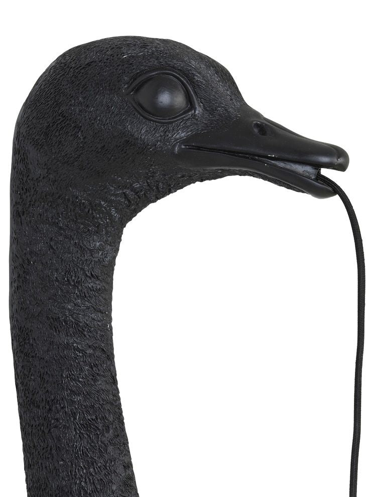 Ostrich Matt Black Wall Lamp