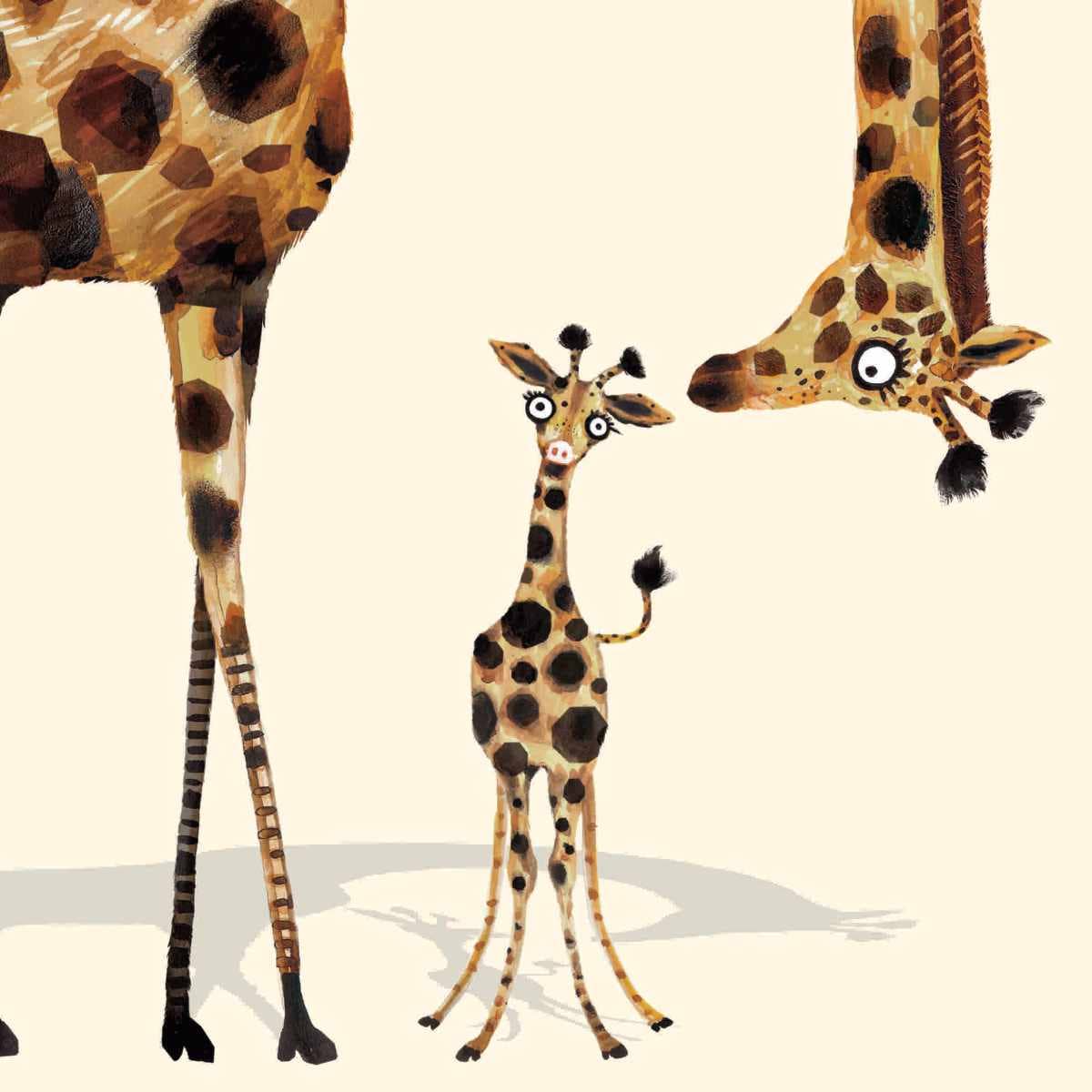 Baby Giraffe