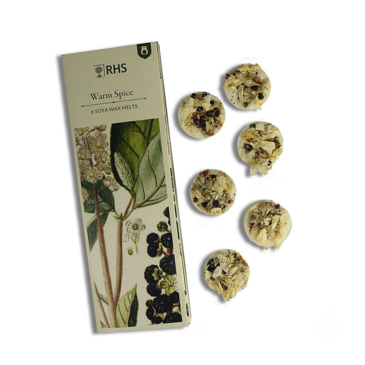 Wax Melts Pack Of 6 - RHS Heritage Warm Spice