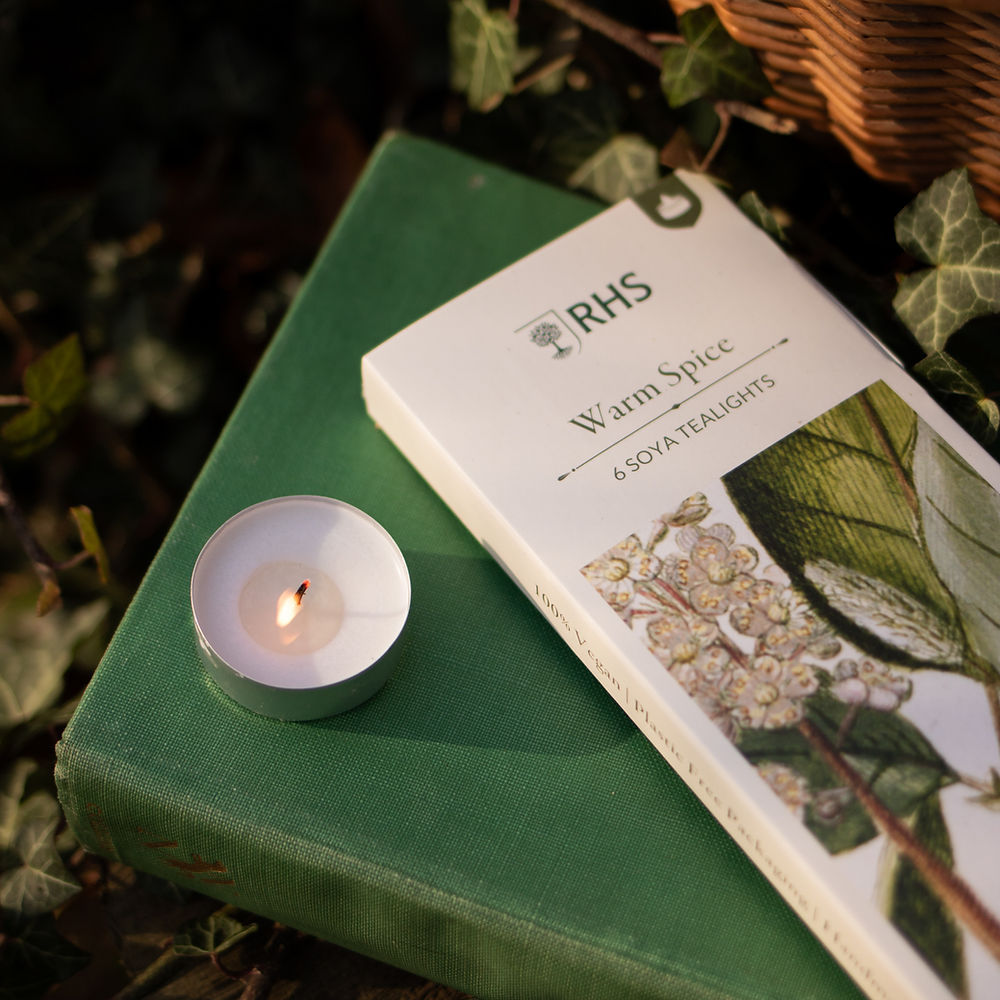 Scented Tea Lights - Pack Of 6 - RHS Heritage Warm Spice