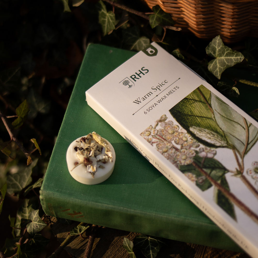 Wax Melts Pack Of 6 - RHS Heritage Warm Spice