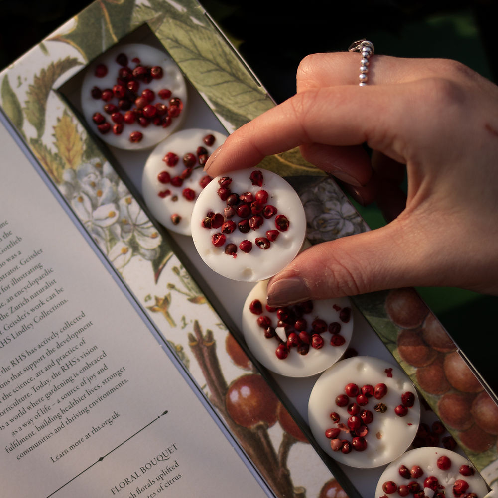 Wax Melts Pack Of 6 - RHS Heritage Wild Berries