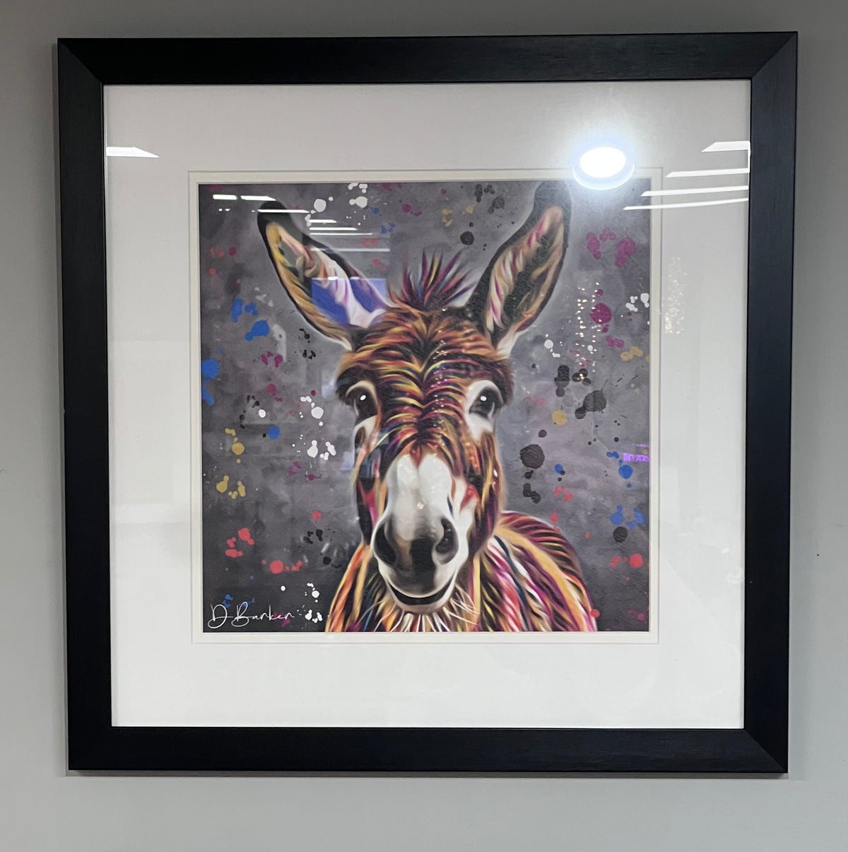 “Pedro” Donkey Colour Splash - Multi-Coloured Donkey Art Print