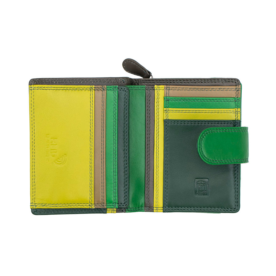 Astra Multi Colour Purse
