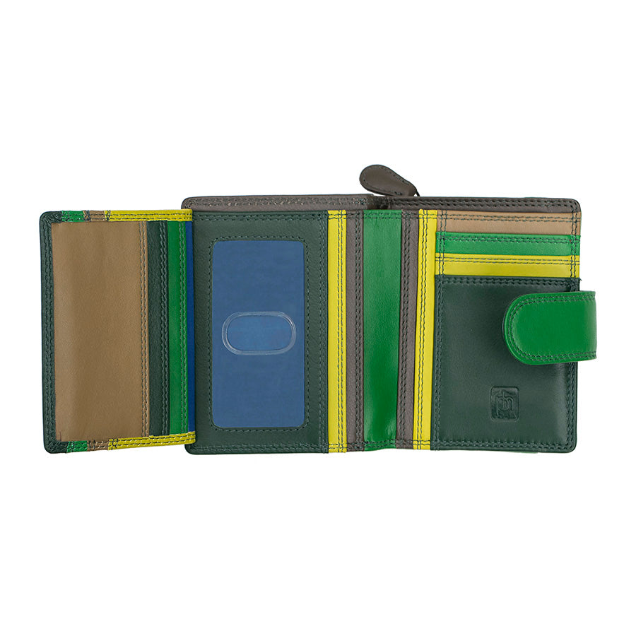 Astra Multi Colour Purse