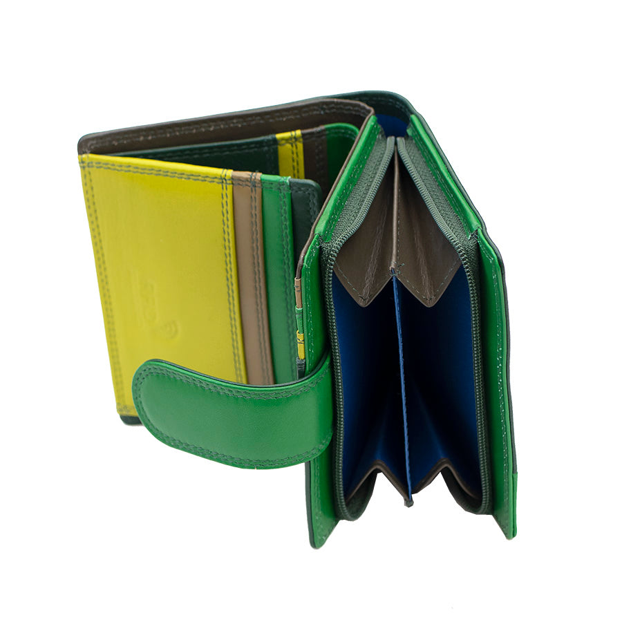 Astra Multi Colour Purse
