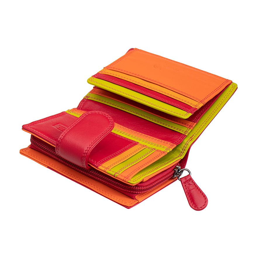 Astra Multi Colour Purse