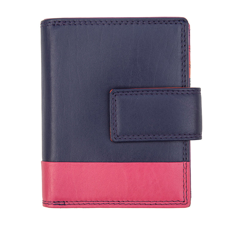 Astra Multi Colour Purse
