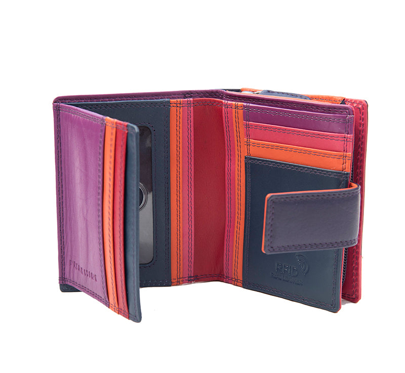 Astra Multi Colour Purse