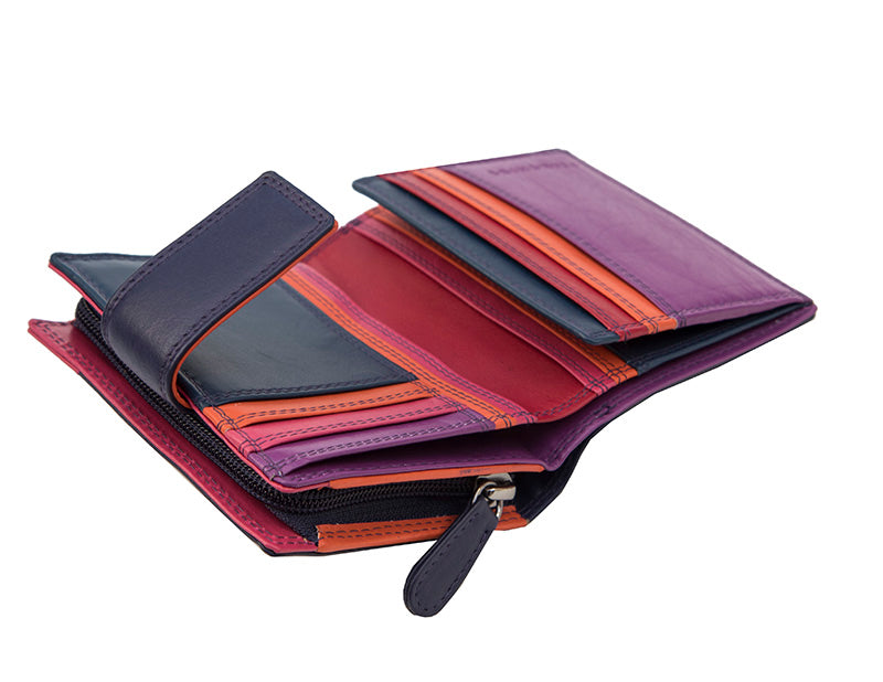 Astra Multi Colour Purse