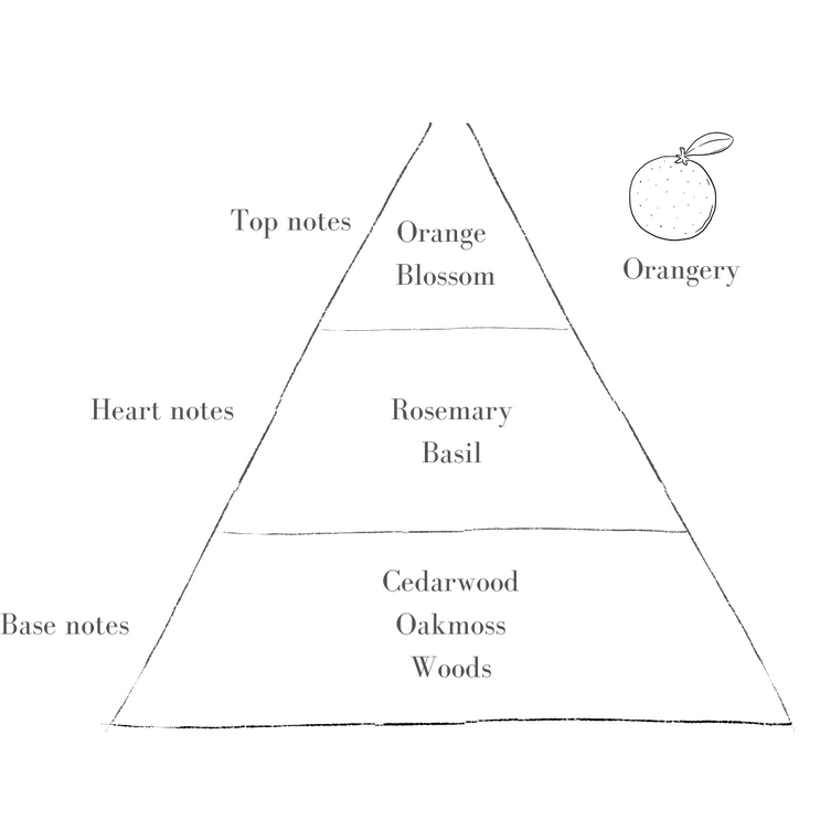 Potts Candle Refill - Petite