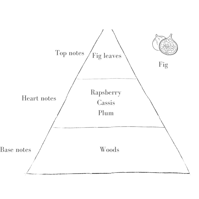 Potts Candle Refill - Petite