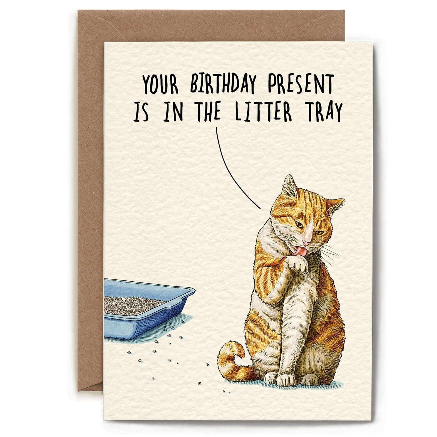 Litter Tray Present