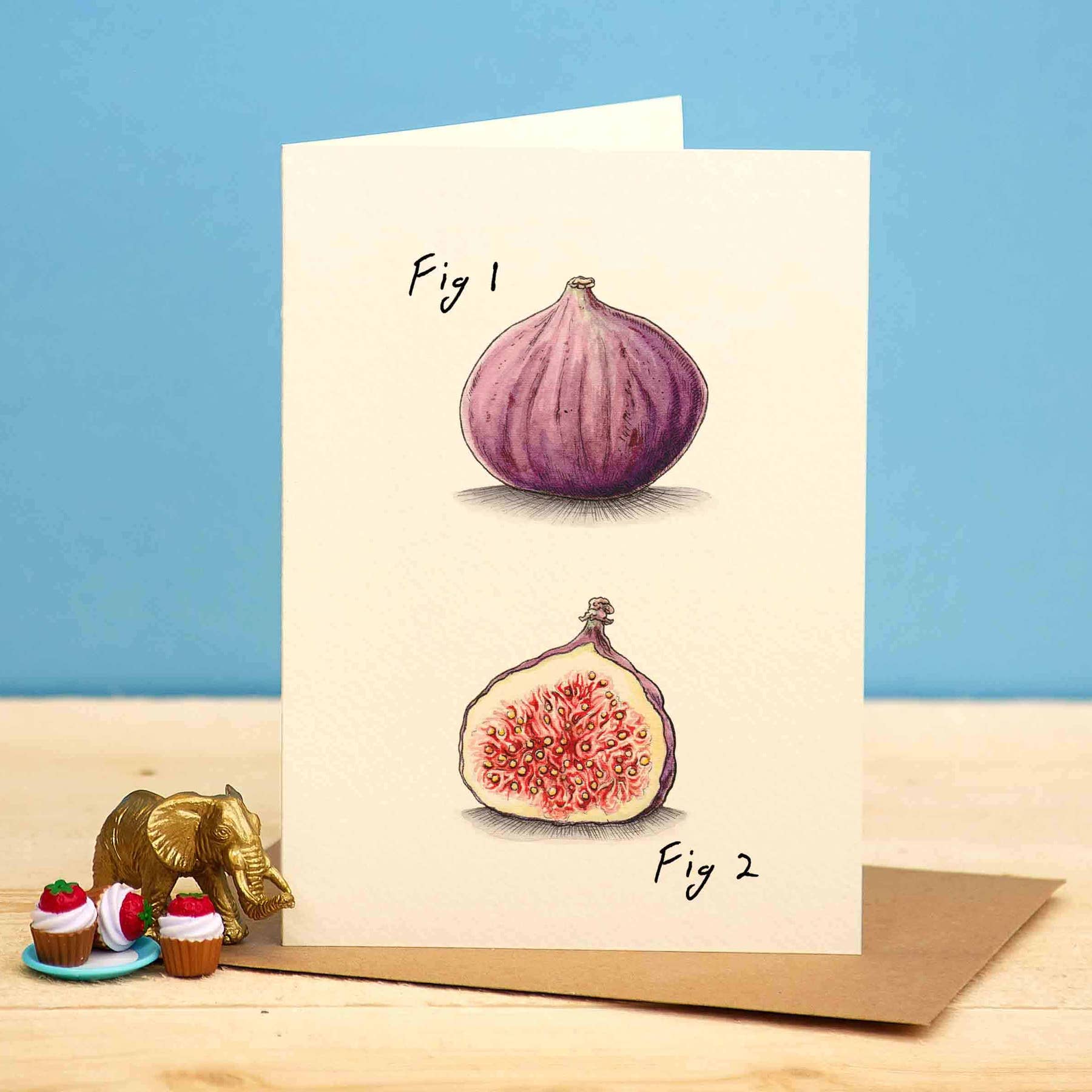 Fig 1 Punny greetings Card