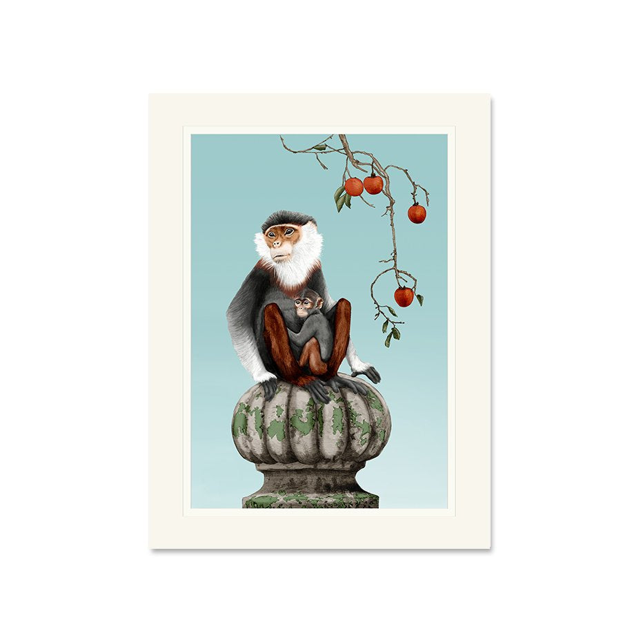 Asian Monkey - Art Print