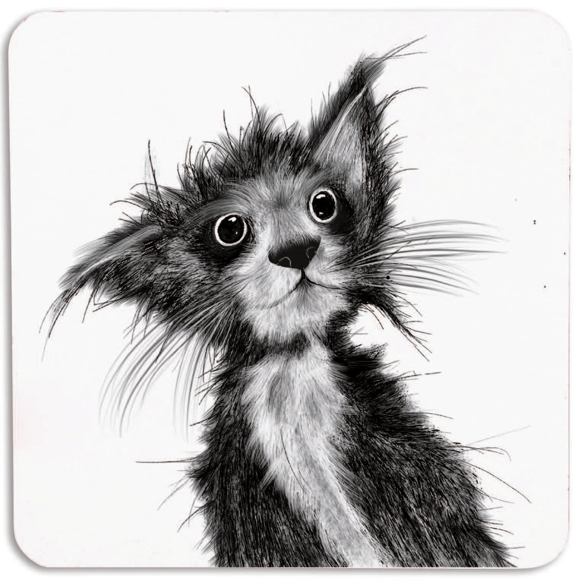 Scatty Cat Coaster