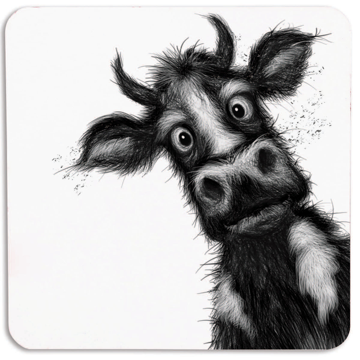 Matilda Cow Coaster