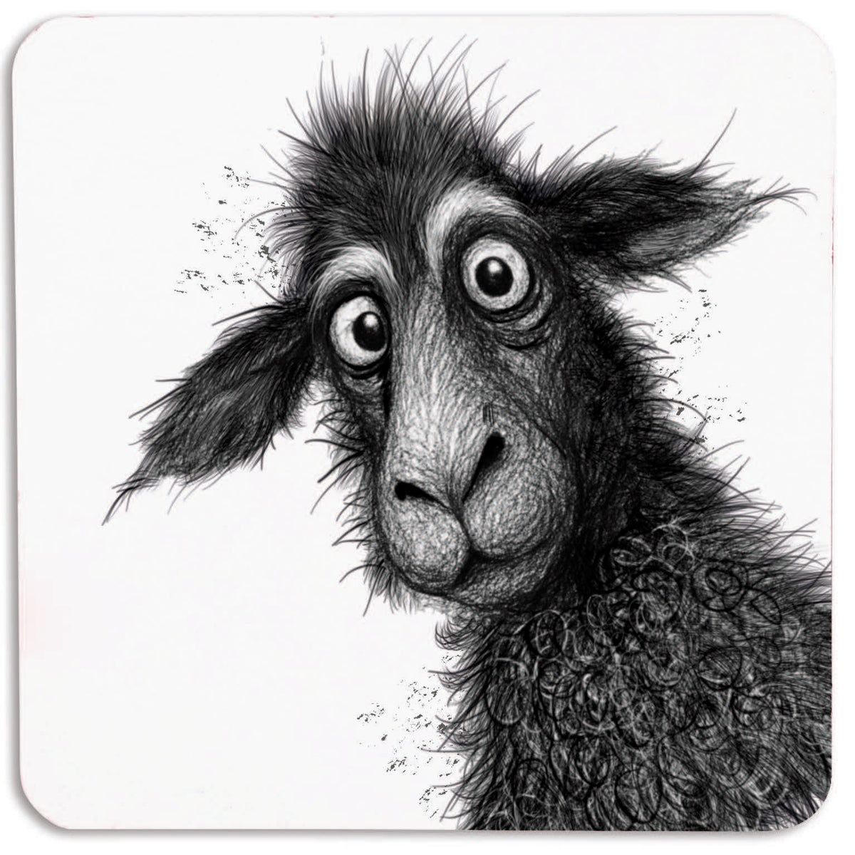 woolley The Sheep Coaster