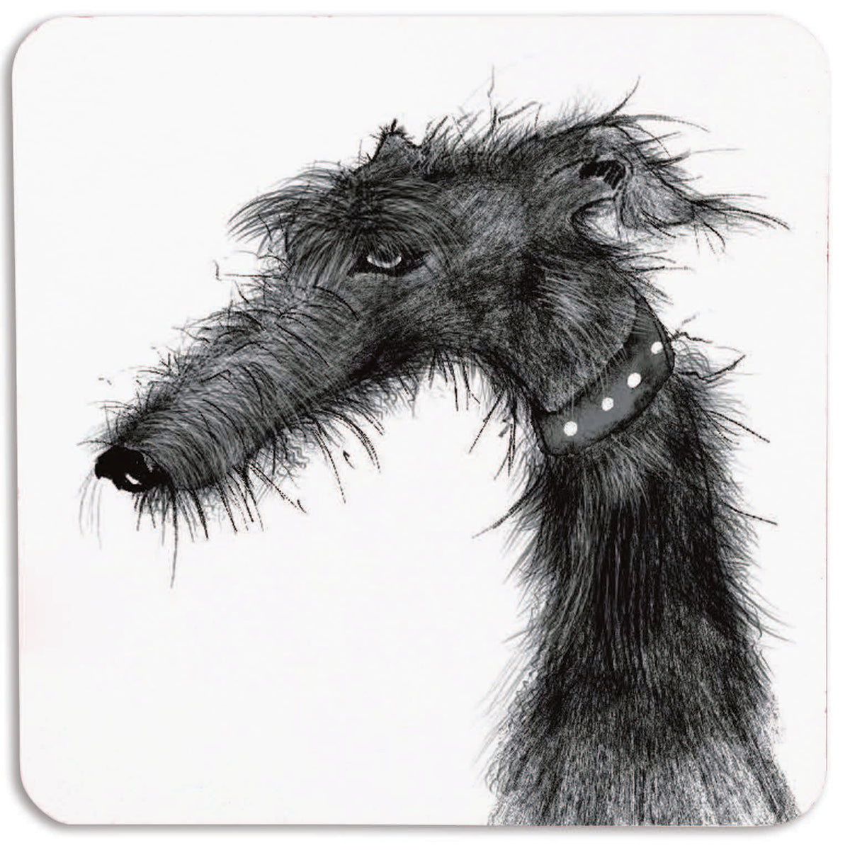 Rufus Coaster