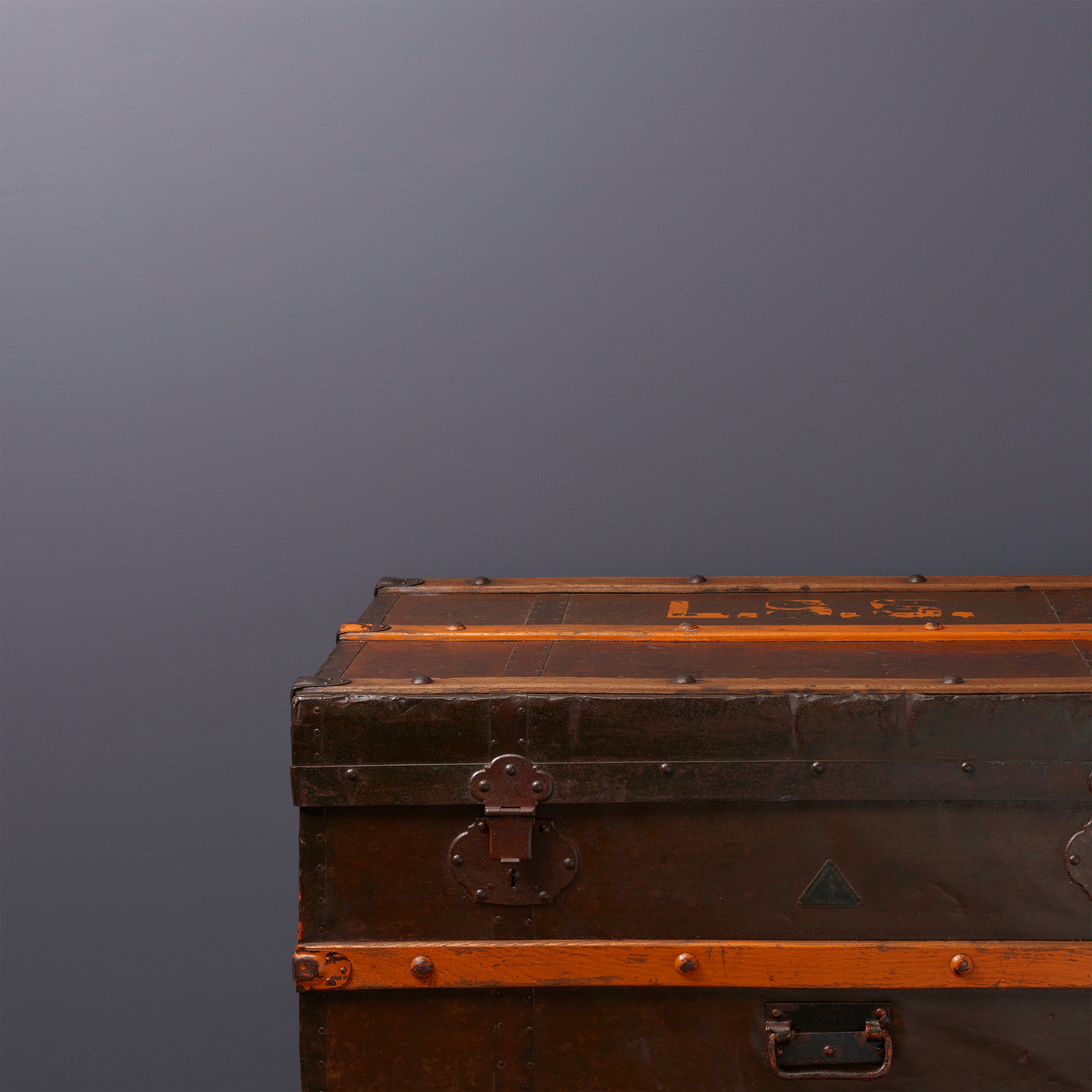 Bandido Peel & Stick Paint Sample