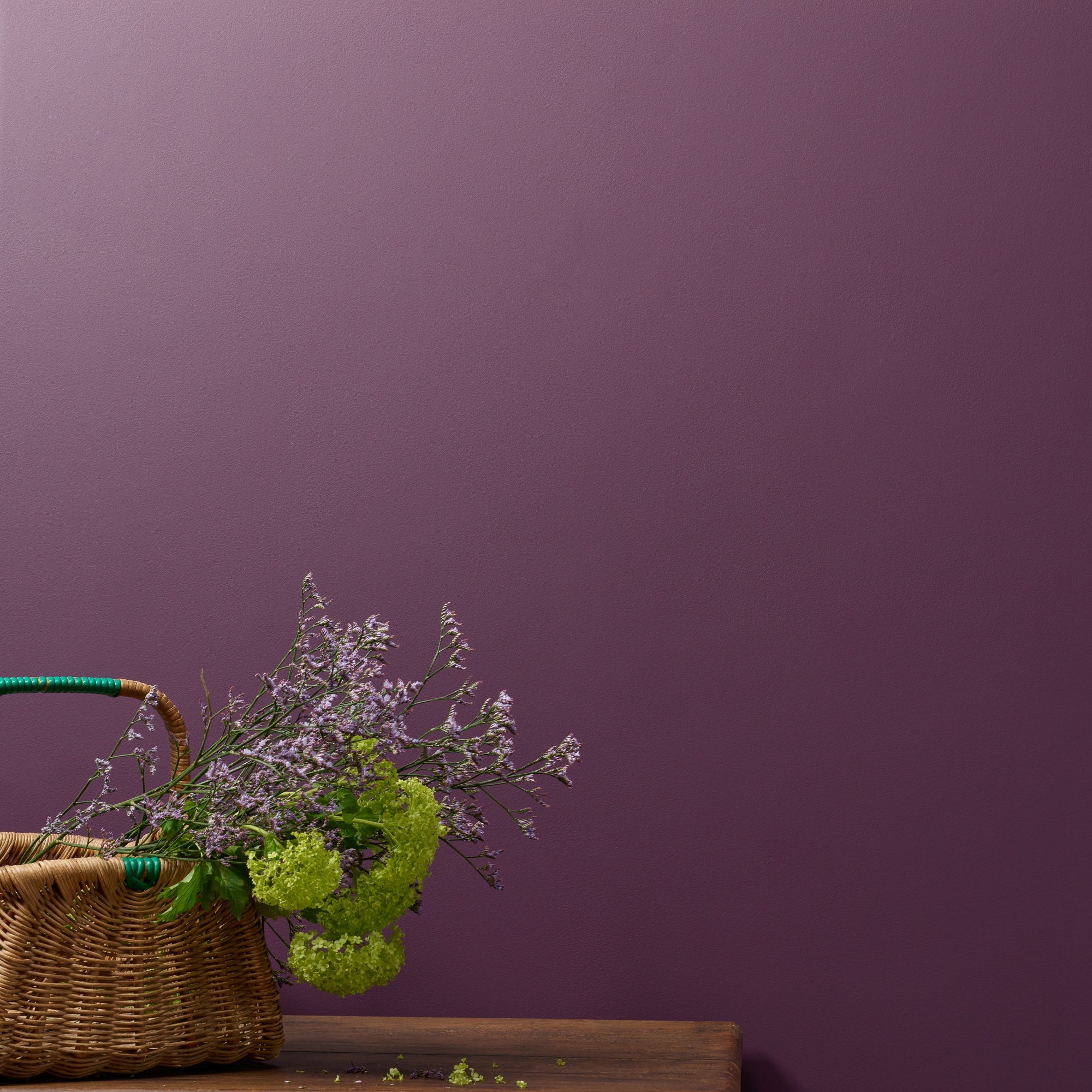 Boujee - Peel & Stick Paint Sample