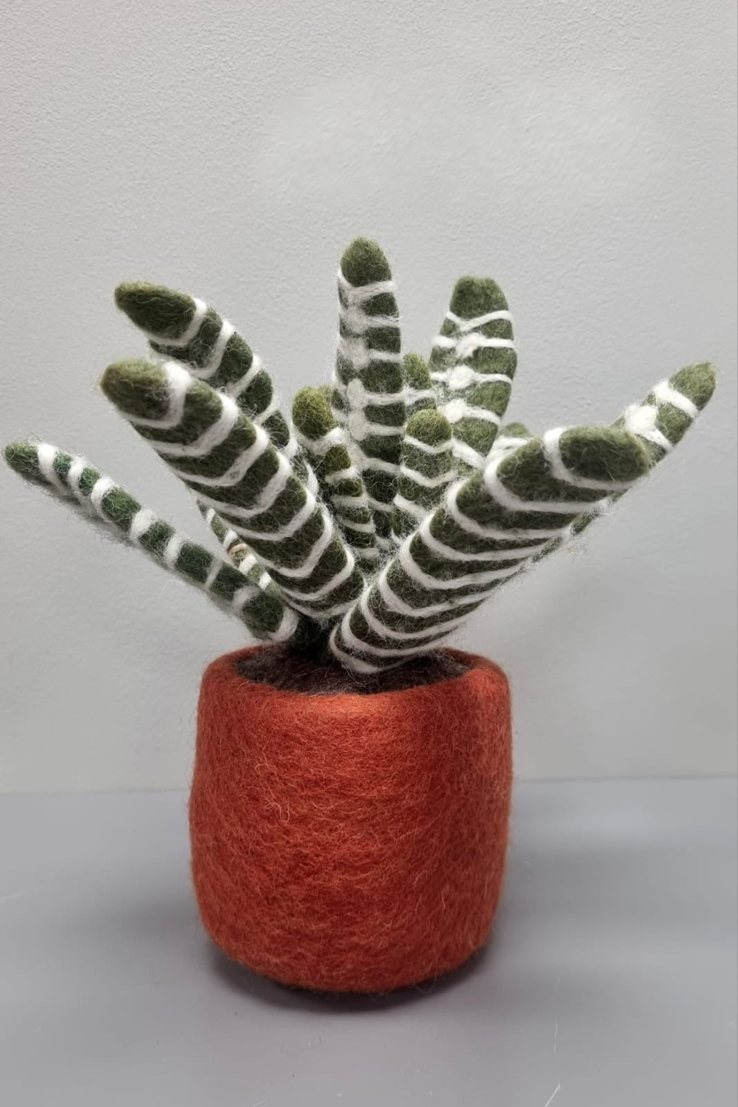Aloe Vera Felt Plant